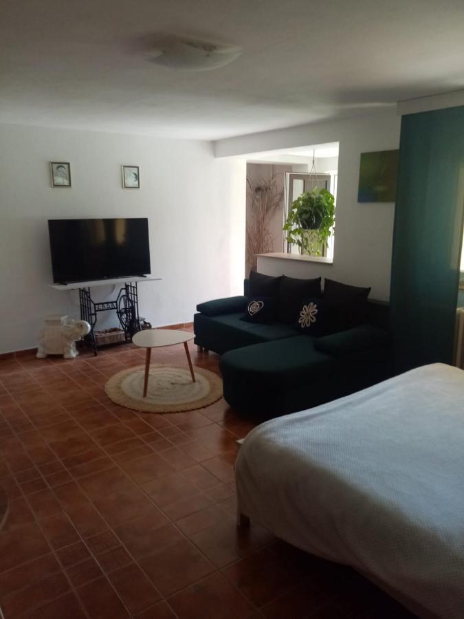 Apartman Ivana Apartamento Rumburk Exterior foto
