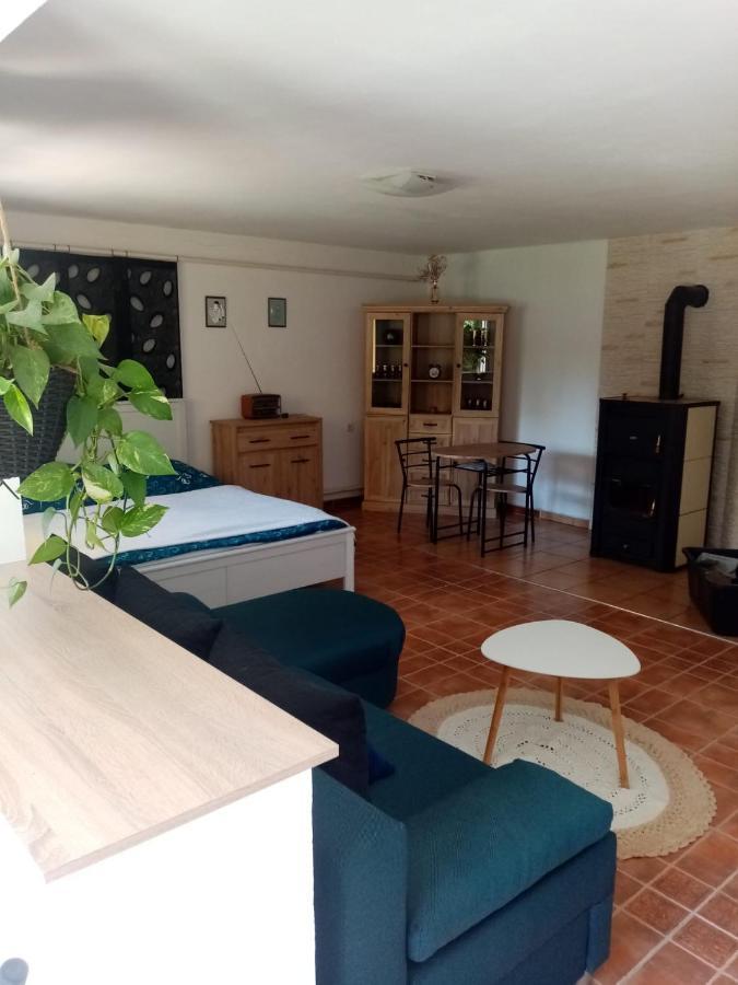 Apartman Ivana Apartamento Rumburk Exterior foto